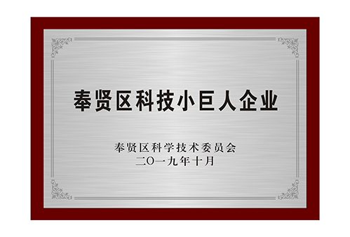 
上海市奉贤区科技小巨人企业