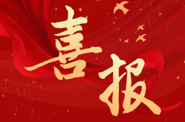 喜报｜中器集团荣获2024年度安全成绩突出集体奖
