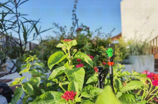 倒计时 12 天！