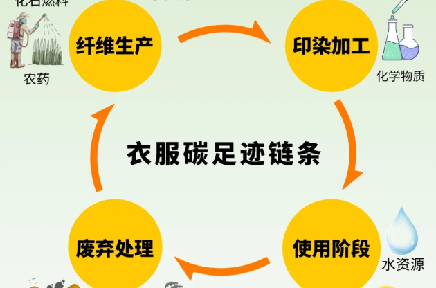从“路人”甲到“必胜”客 