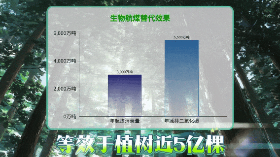 186b8c2cdfaffa73dc0898afecea5516.png