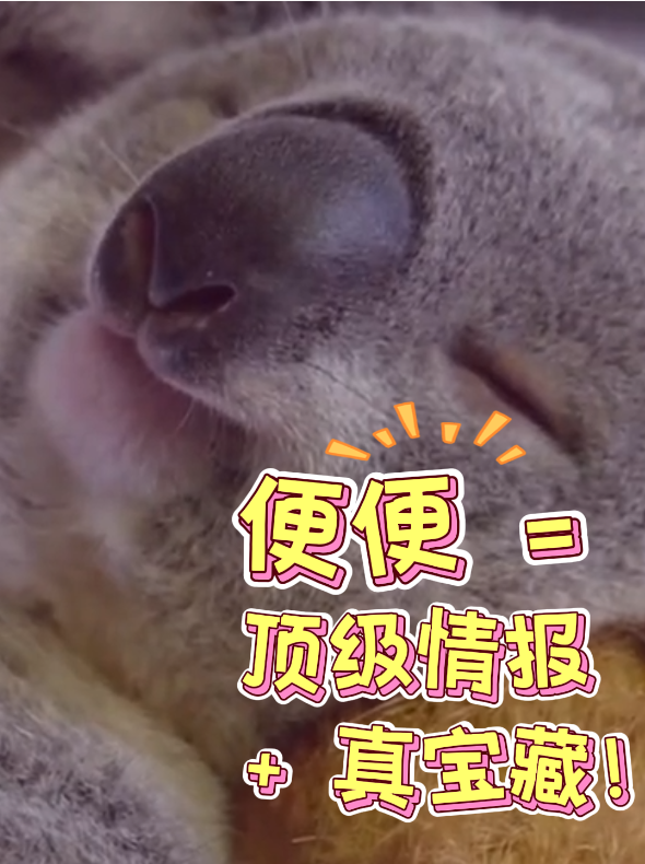 1779775071664951.png ScreenShot_2026-05-26_135656_047.png